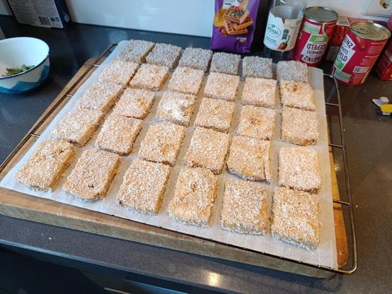 24 slices of cocos coated tofu on a baking tray, they look whitish.